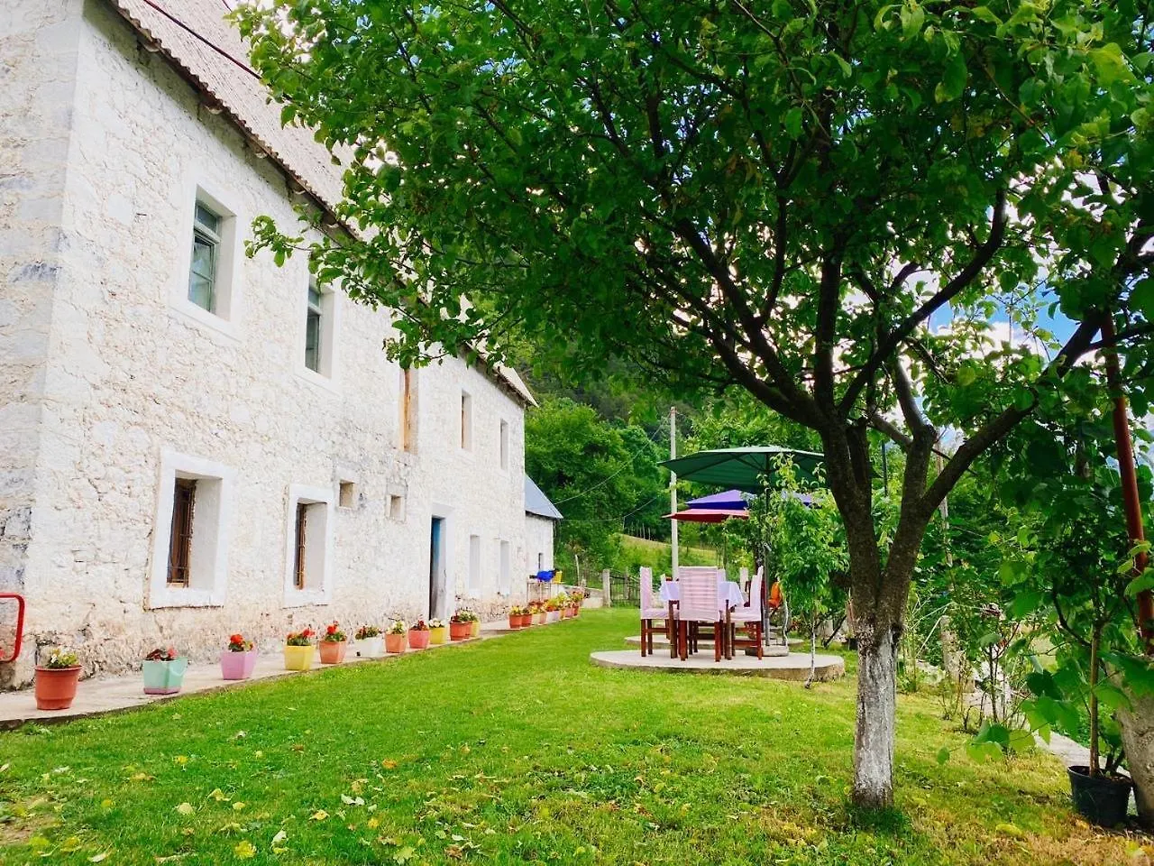 Guest house Vila Silvester Hotel Theth