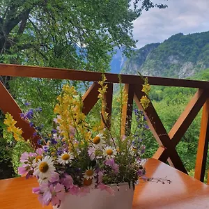 Davisol Guest house