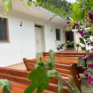 Thethi Mountain Guest house
